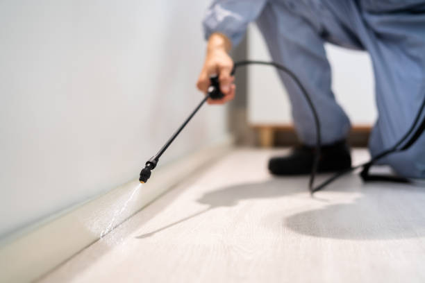 Licensed Termite Control service in Point MacKenzie, AK - Nex Pest Control