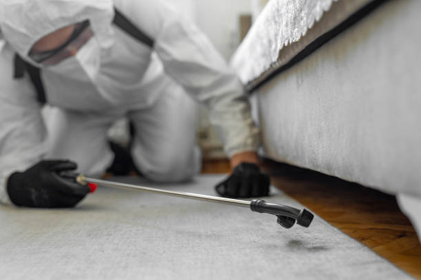 Professional Termite Control technician working in Point MacKenzie, AK