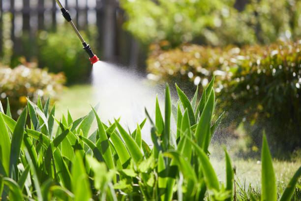 24/7 Emergency Termite Control experts in Point MacKenzie, AK