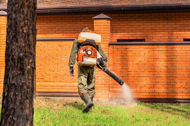 Top rated local Termite Control specialists in Point MacKenzie, AK